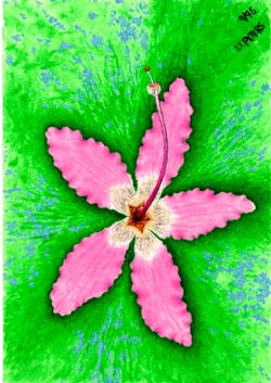 John Francis Peters Art