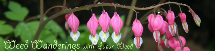 Herbal Ezine --  Wise Woman Wisdom 