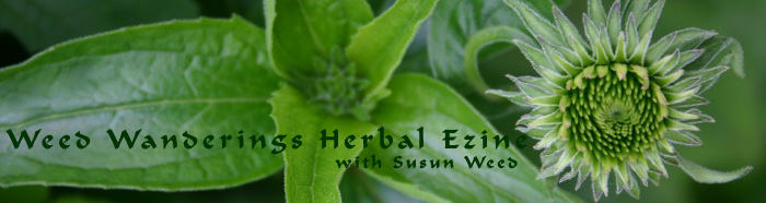 Wise Woman Herbal Ezine