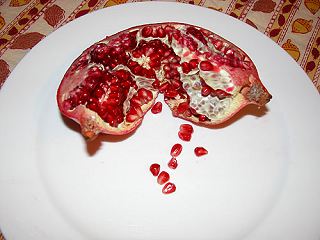 persephones' pomegranate photo