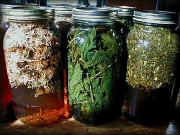 photo of nourishing infusions by Justine Smythe